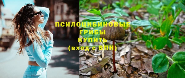 a pvp Абдулино
