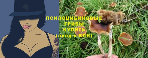 a pvp Абдулино