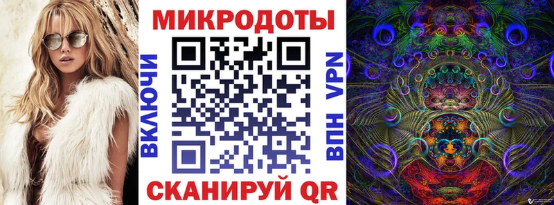 Псилоцибиновые грибы Psilocybine cubensis Адыгейск